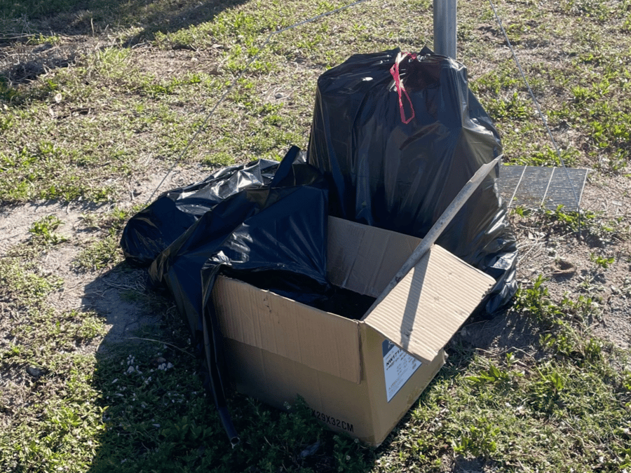 Great American Cleanup 2024 3