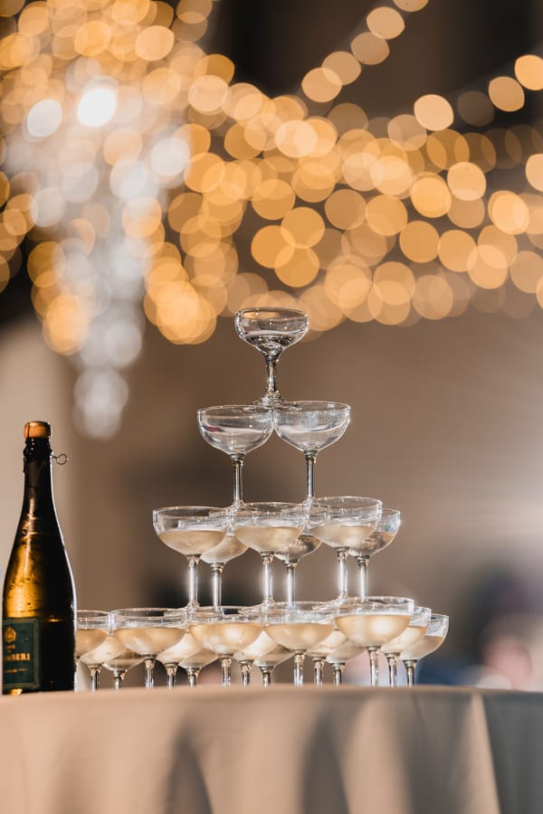 GABBY-NOAH-POWEL-CROSLEY-SARASOTA-WEDDING-08099