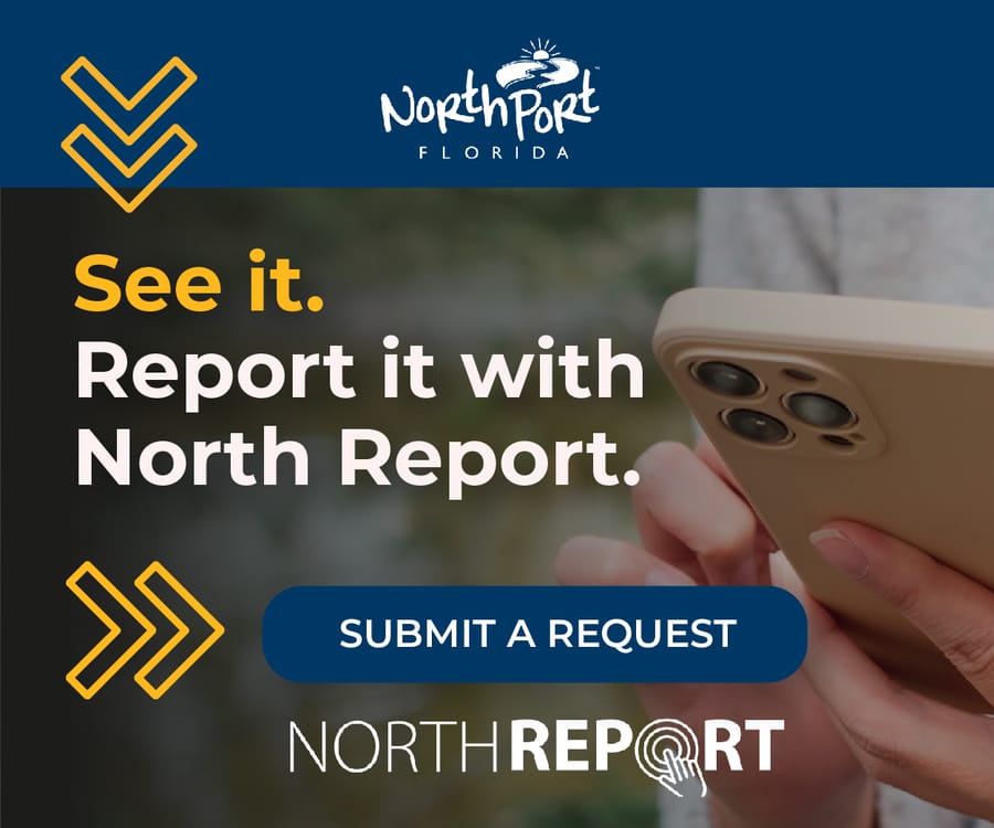 Northreport_web_ads