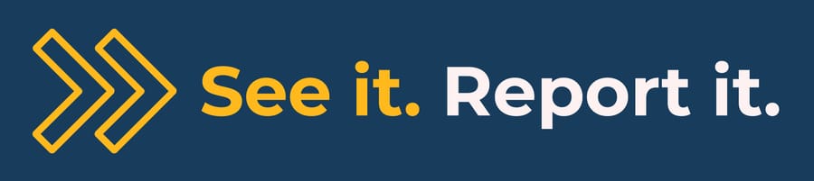 Northreport_web_ads