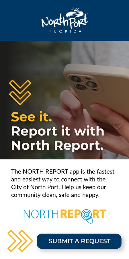 Northreport_web_ads