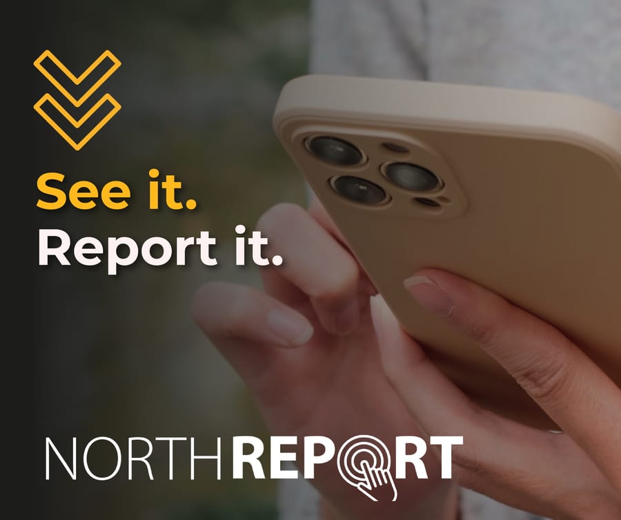 Northreport_web_ads