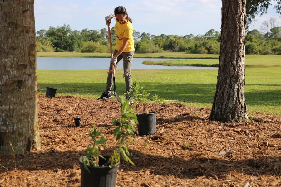 Go_Green_with_Parks_Butler_Park_B_04.26.24 (3)