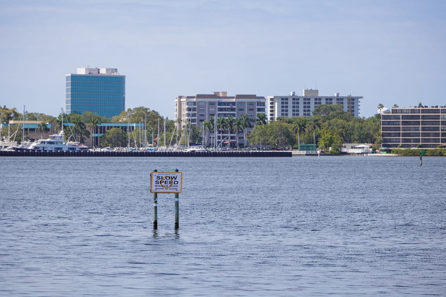 cvb-palmetto-regatta-point-043024-17