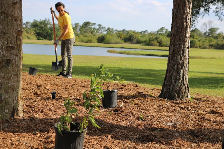 Go_Green_with_Parks_Butler_Park_B_04.26.24 (2)