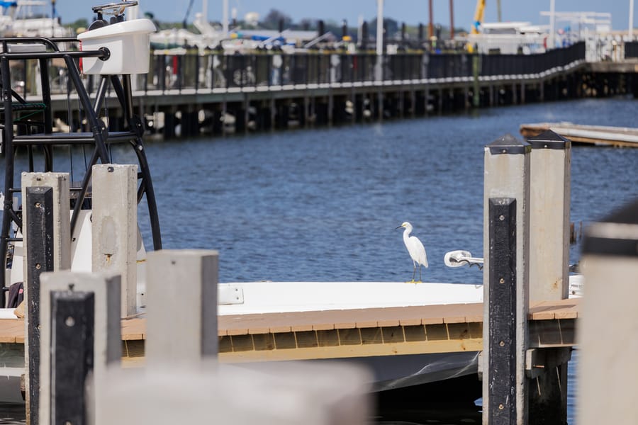 cvb-palmetto-regatta-point-043024-29