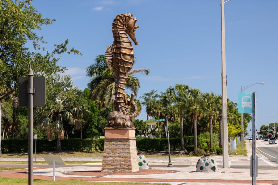 cvb-palmetto-regatta-point-043024-22