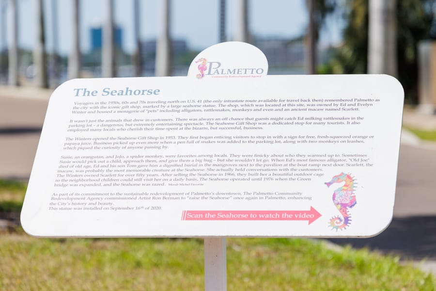 cvb-palmetto-regatta-point-043024-26