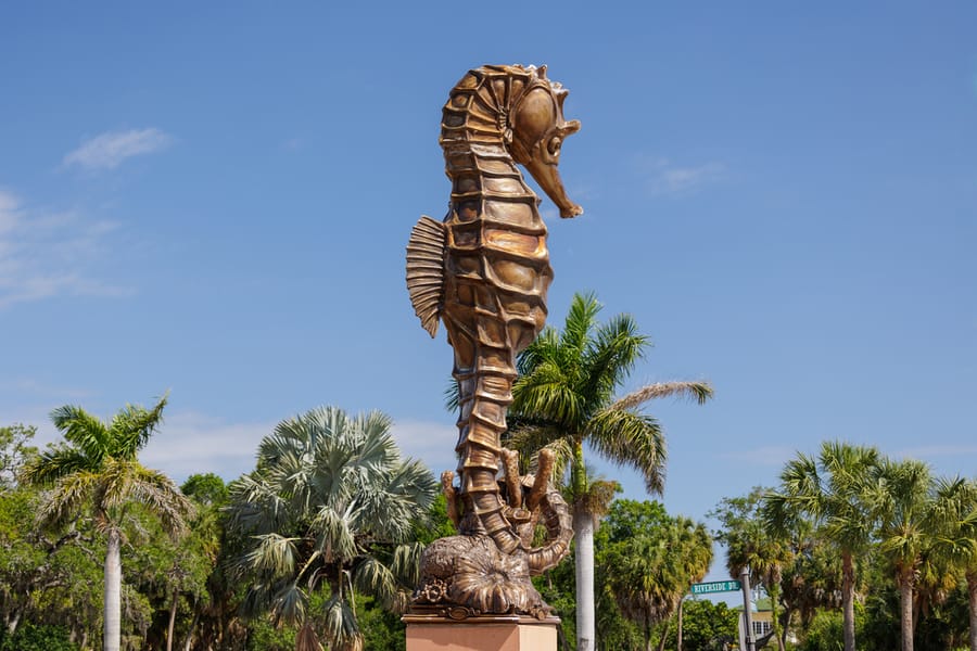 cvb-palmetto-regatta-point-043024-23