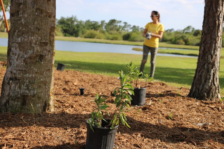 Go_Green_with_Parks_Butler_Park_B_04.26.24 (1)