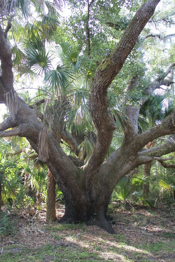 Nature_Walk_MCEP_04.27.24 (21)