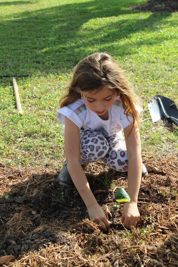 Go_Green_with_Parks_Butler_Park_04.26.24 (41)