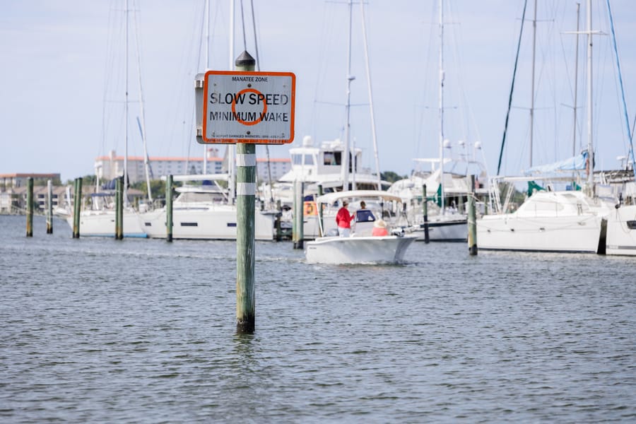 cvb-palmetto-regatta-point-043024-30