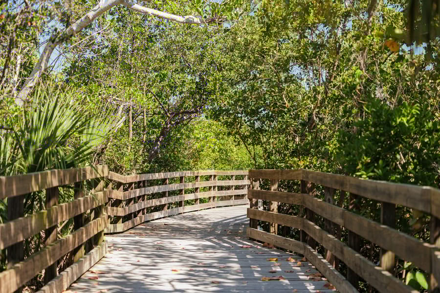 Emerson Point Preserve
