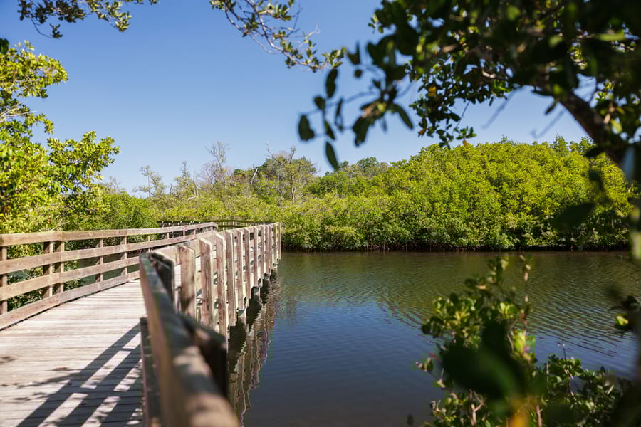 Emerson Point Preserve