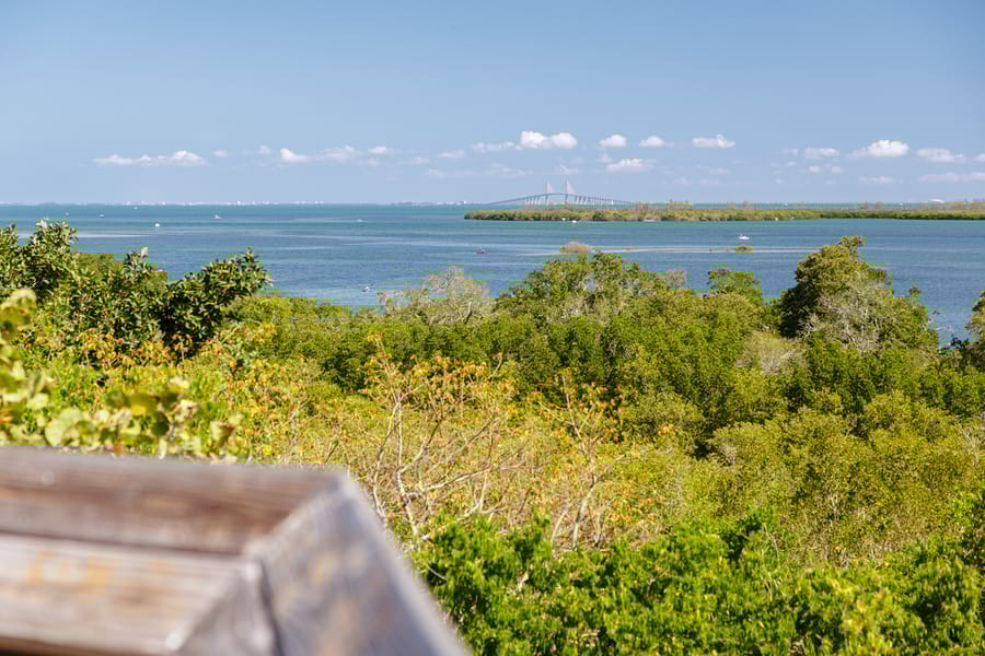Emerson Point Preserve