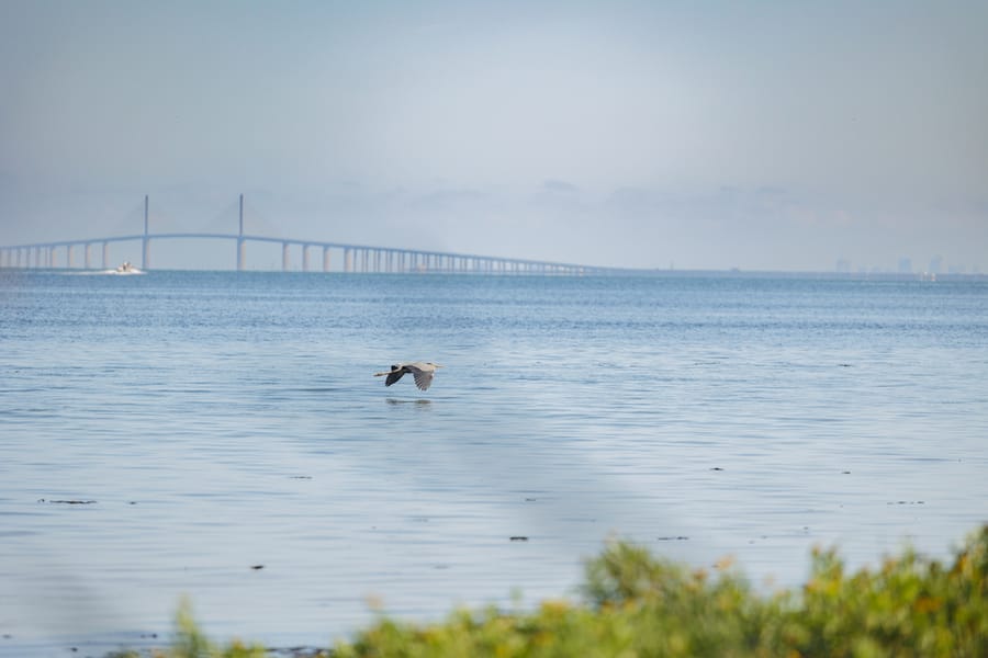 Emerson Point Preserve