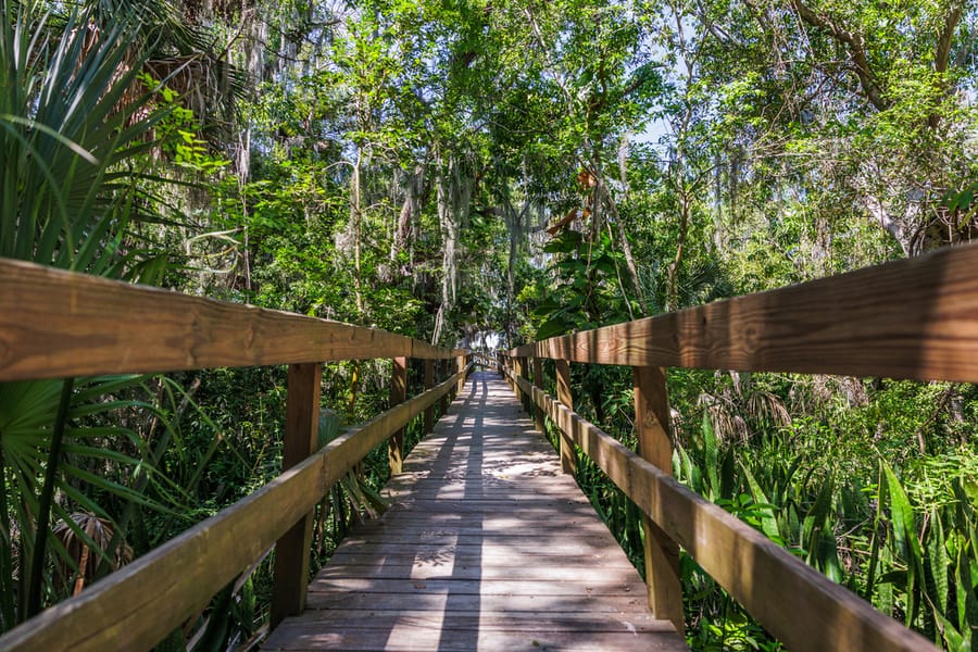 Emerson Point Preserve