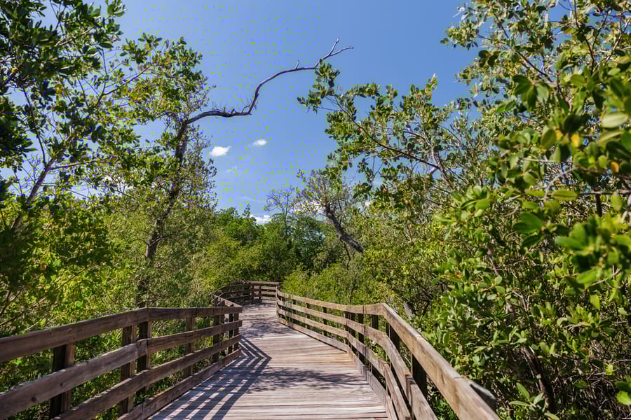 Emerson Point Preserve