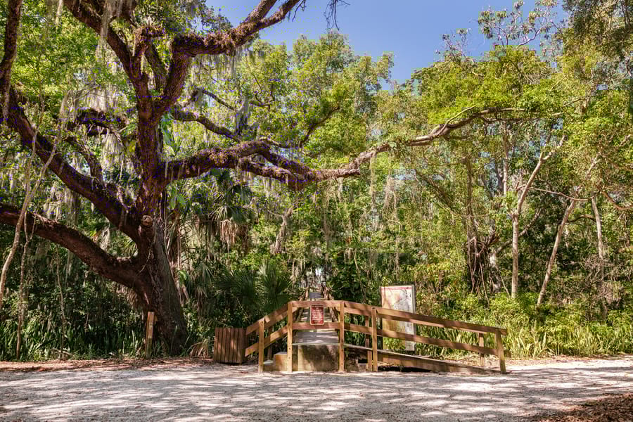 Emerson Point Preserve