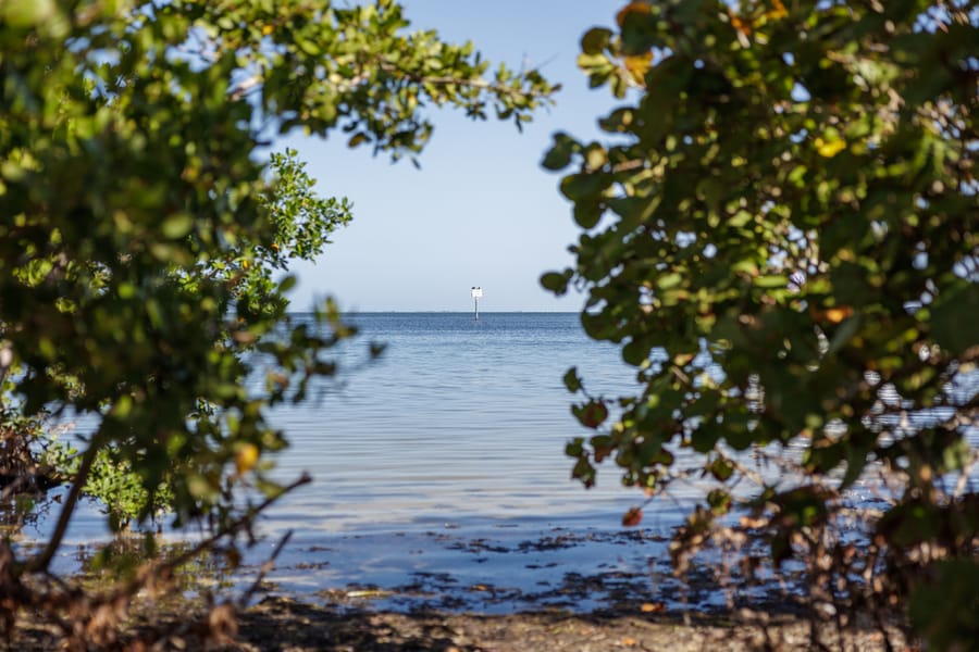 Emerson Point Preserve