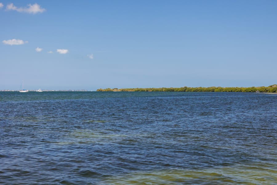 Emerson Point Preserve