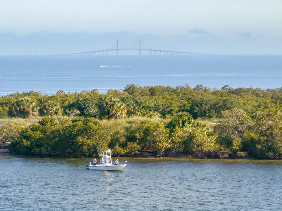 Emerson Point Preserve