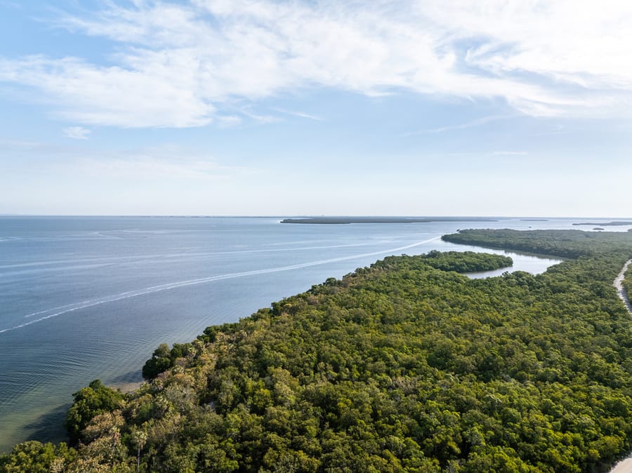 Emerson Point Preserve