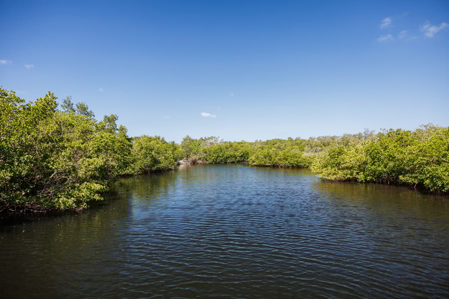 Emerson Point Preserve