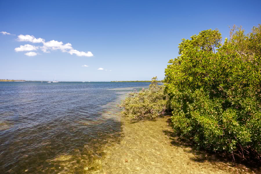Emerson Point Preserve