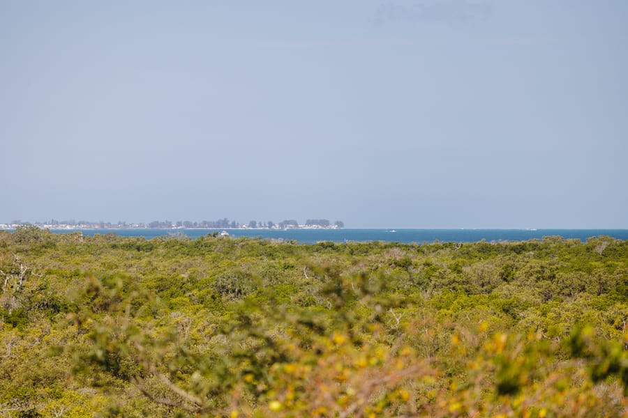 Emerson Point Preserve