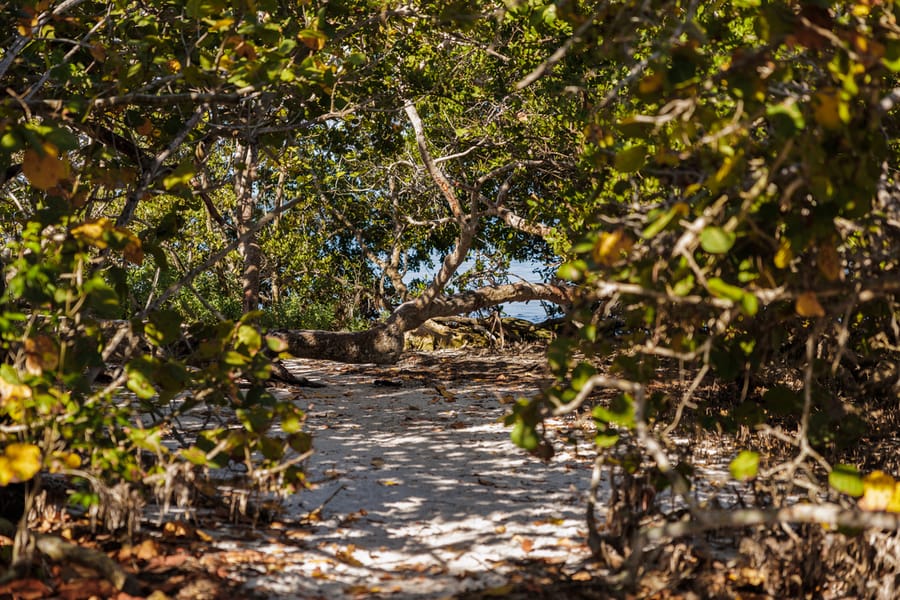 Emerson Point Preserve