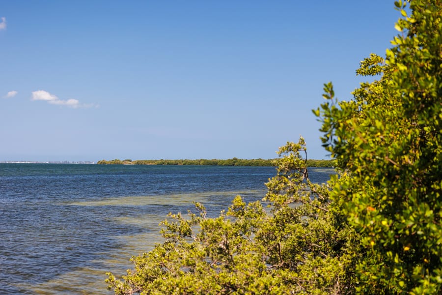 Emerson Point Preserve