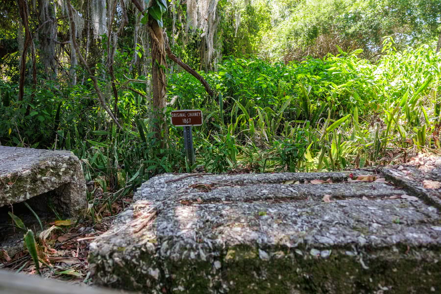 Emerson Point Preserve