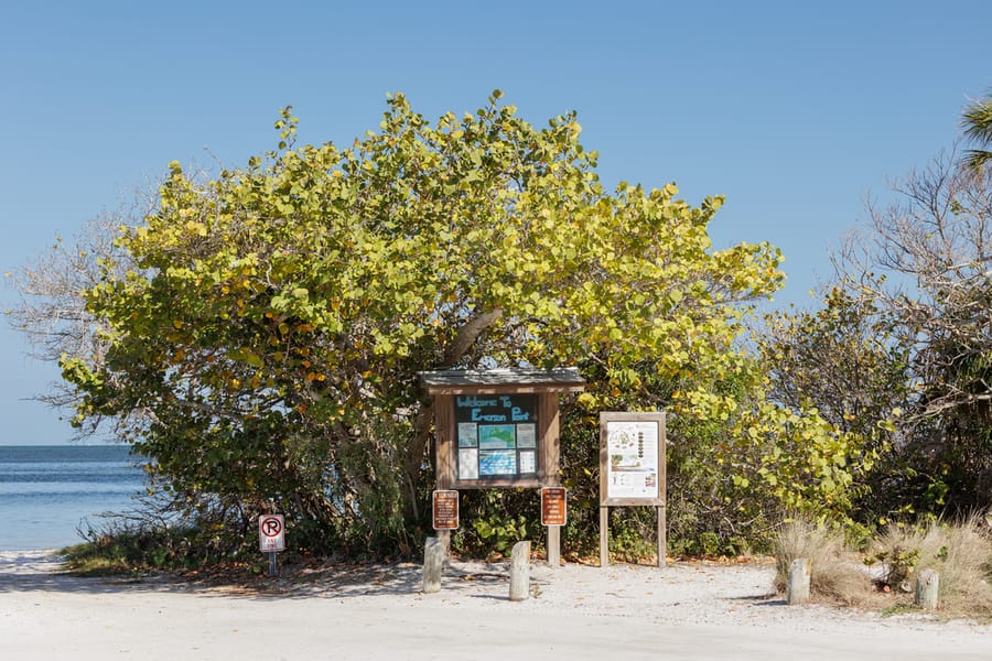 Emerson Point Preserve
