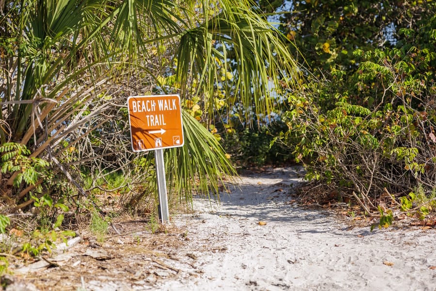 Emerson Point Preserve