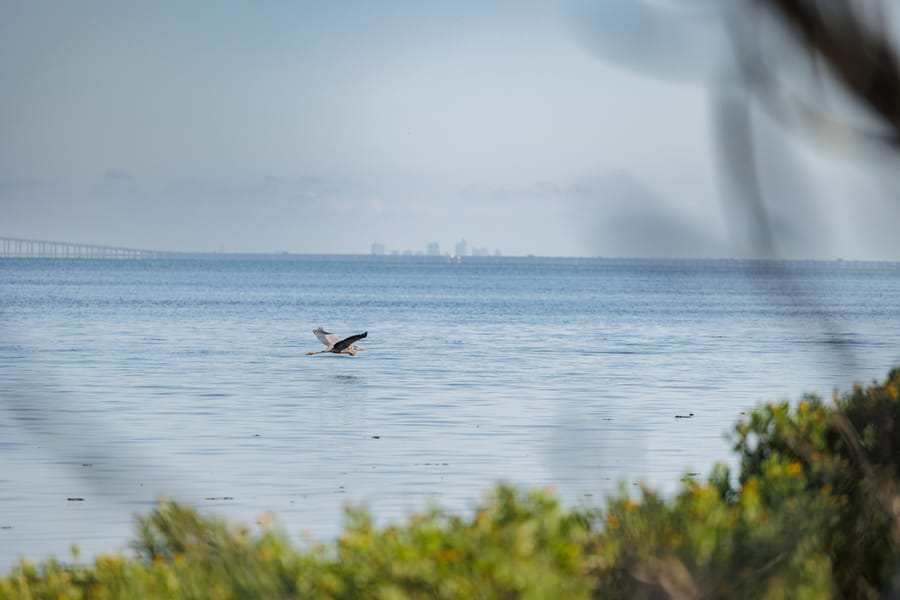 Emerson Point Preserve