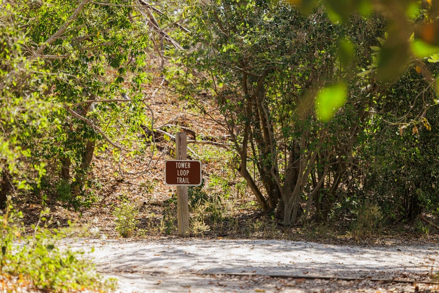 Emerson Point Preserve