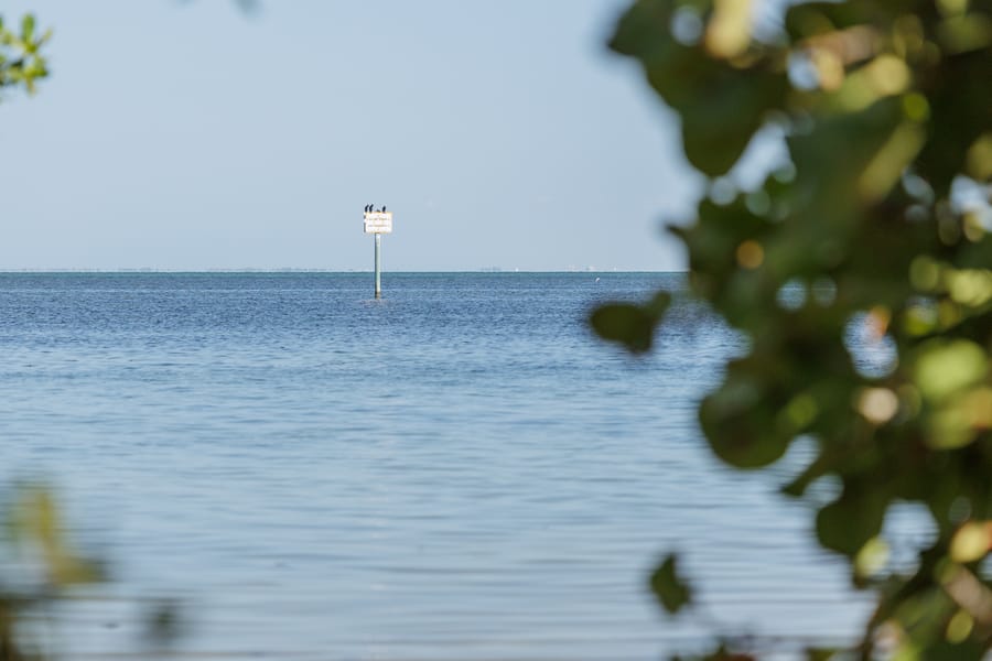 Emerson Point Preserve