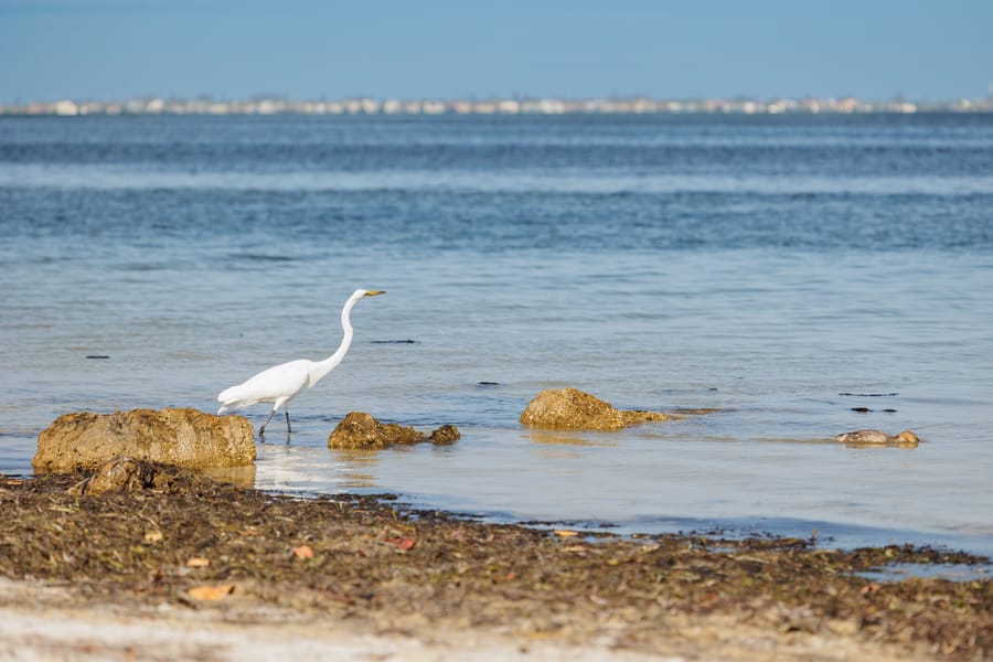 Emerson Point Preserve