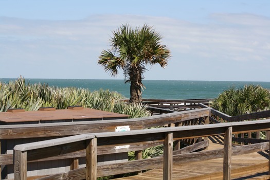 Our beautiful beach at the Canaveral National Seas