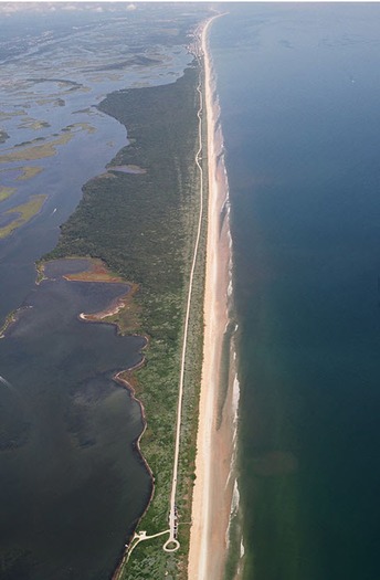 canaveralseashore