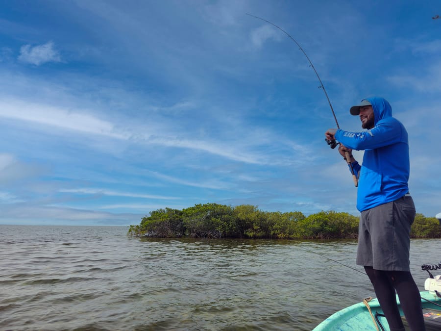 Fishing Mangroves Jef