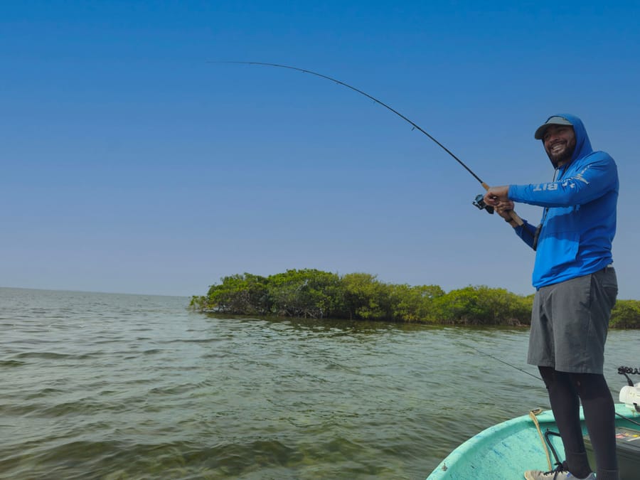 Fishing Mangroves