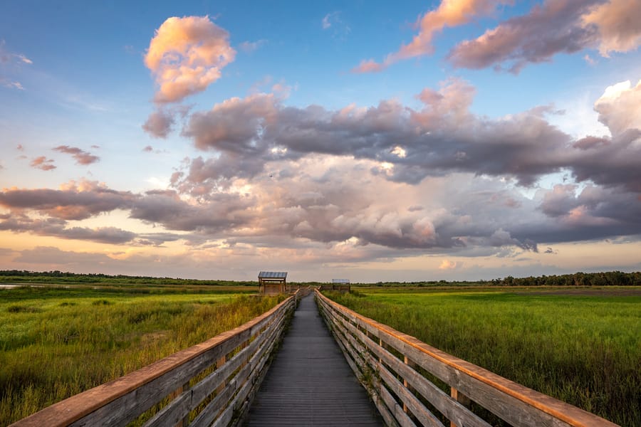 Myakka River State Park