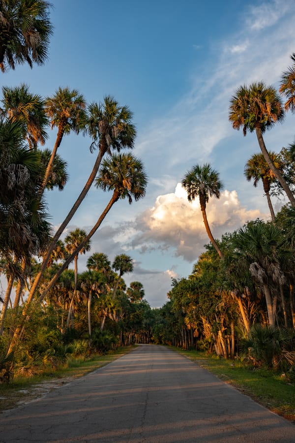 Myakka River State Park