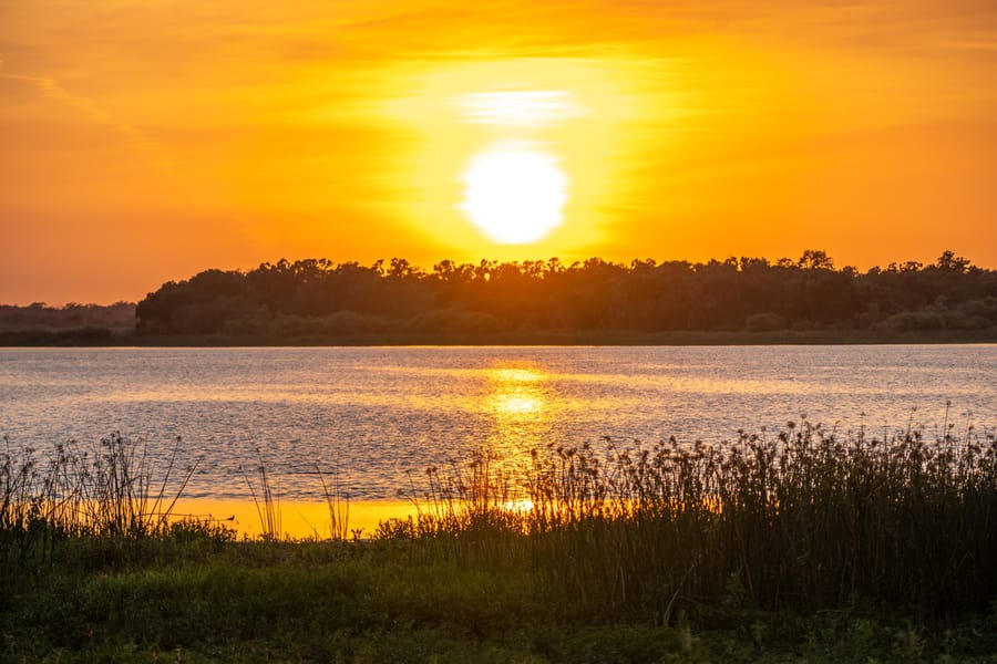 Myakka River State Park