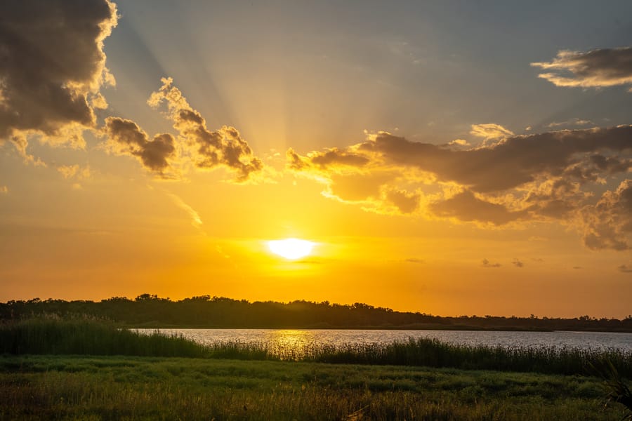 Myakka River State Park