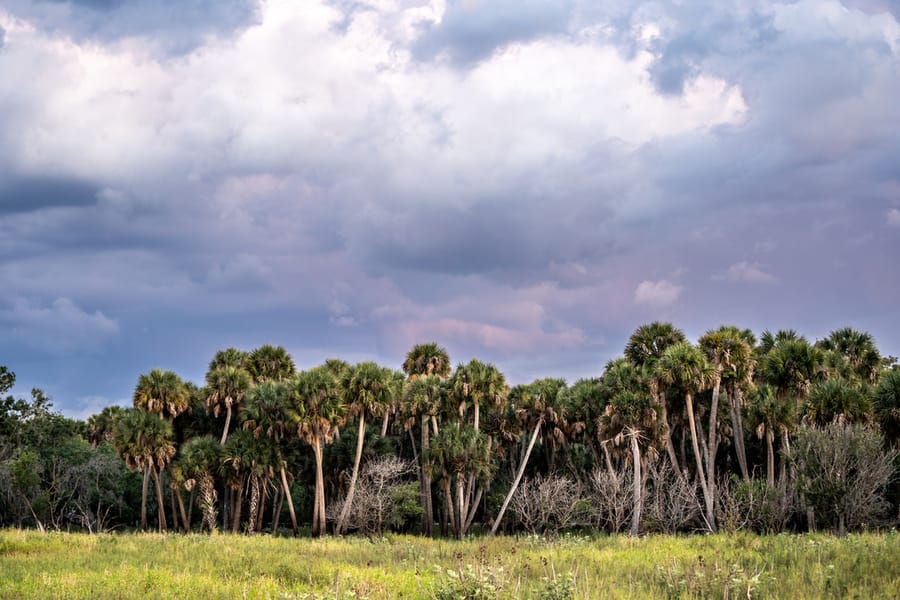 Myakka River State Park