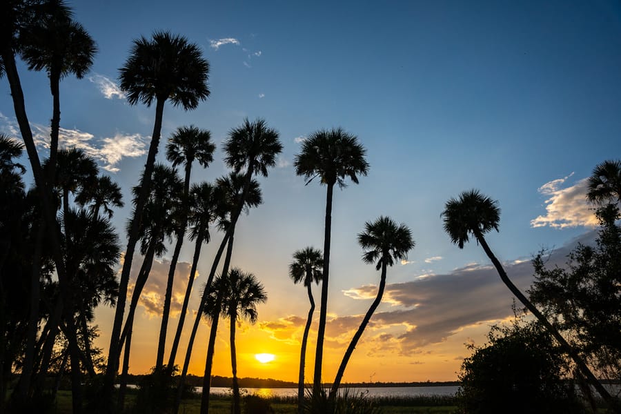 Myakka River State Park